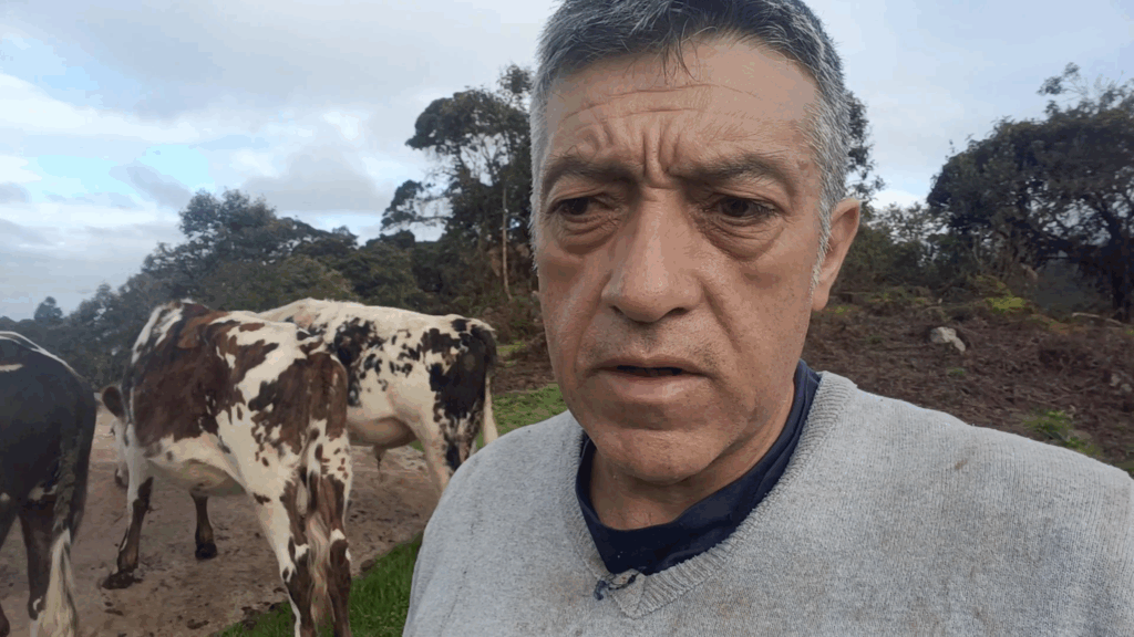 Generar dinero en el campo: ¿es rentable criar terneros?