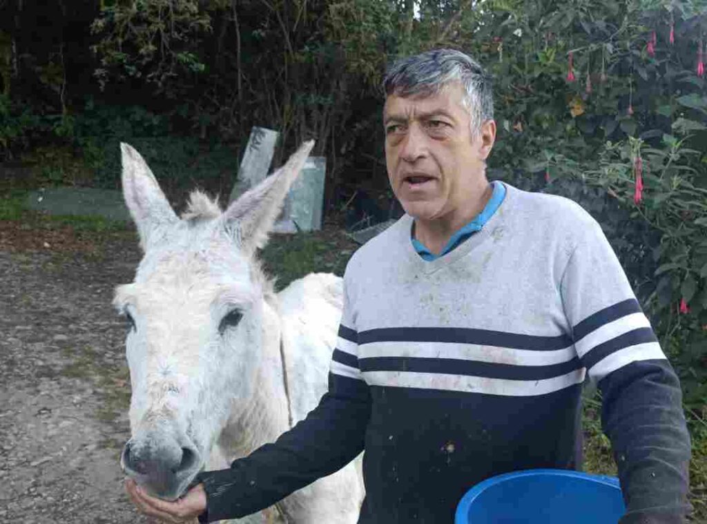 Manuel una vida lógicamente