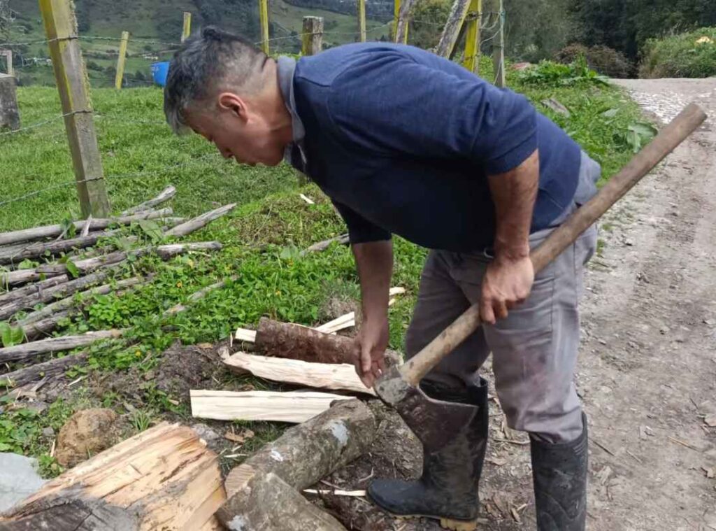 Experiencia Vive Lógicamente