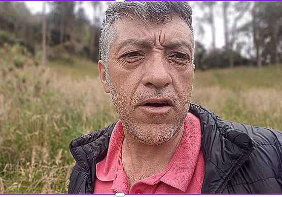 Manuel Vive Lógicamente